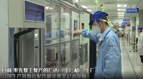 上海新增新冠病例與復(fù)工復(fù)產(chǎn)同步推進，計算機技術(shù)服務(wù)助力經(jīng)濟復(fù)蘇